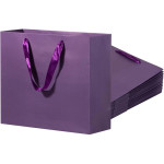 51023 Printed Paper bag